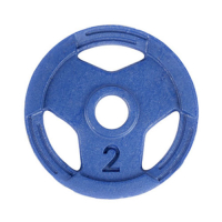 Anilha 1kg Sport Olímpica Pintada (Preta / Azul) | Base Representações