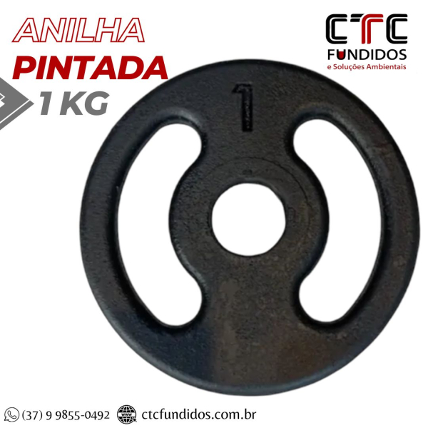 ANILHA 1KG PINTADA FURO COMUM 31mm  | CTC Fundidos