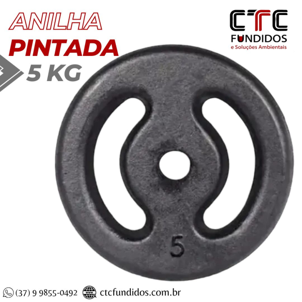 ANILHA 5KG PINTADA FURO COMUM 31mm  | CTC Fundidos