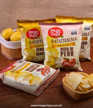 Mega Chips