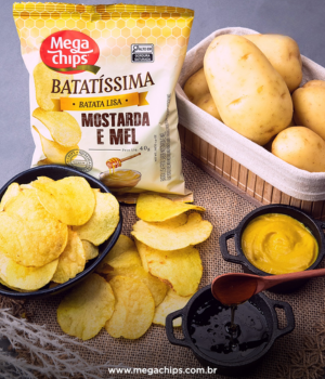 Mega Chips